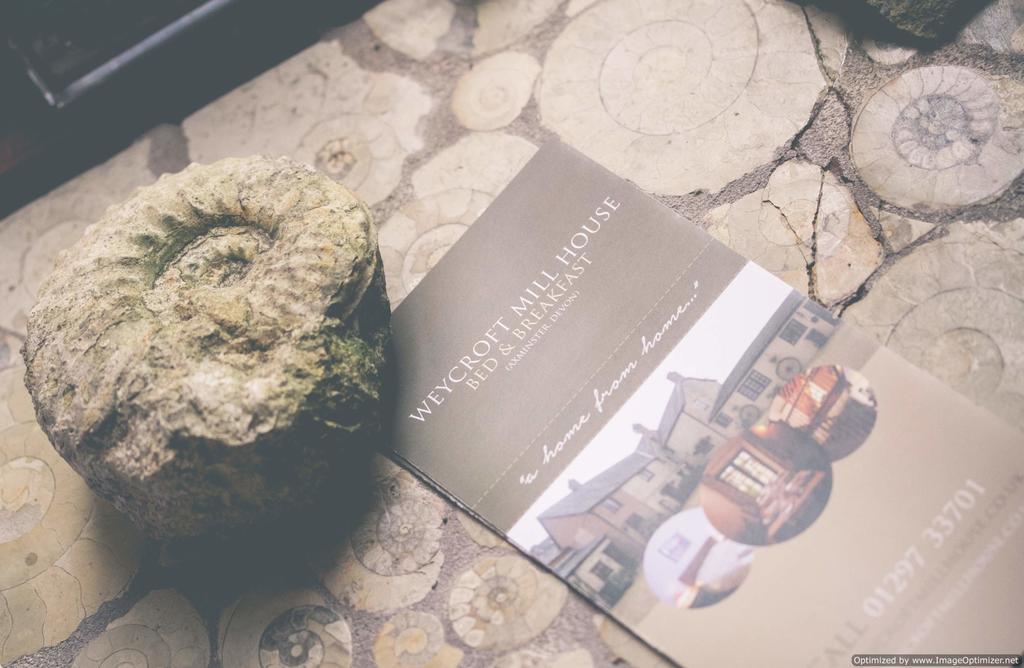Weycroft Mill House Bed And Breakfast แอ็กซ์มินสเตอร์ ภายนอก รูปภาพ